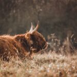 Jak vyčistit pračku od zápachu: Domácí rady