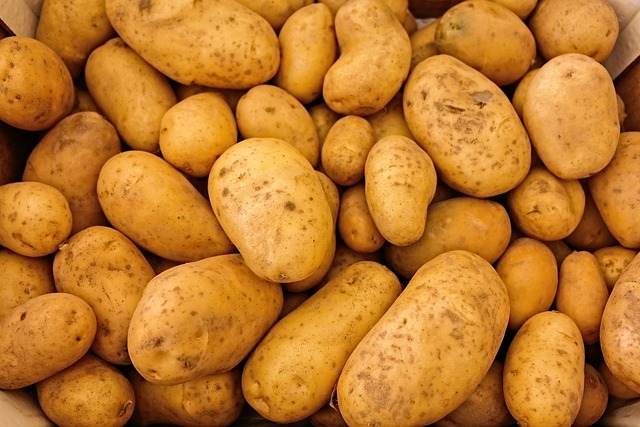Jak dezinfikovat sklep na brambory: Dlouhodobé uchování