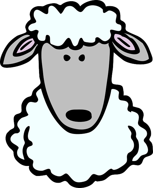 Jak vyprat ovčí kožešinu: Zachovejte ji měkkou a krásnou