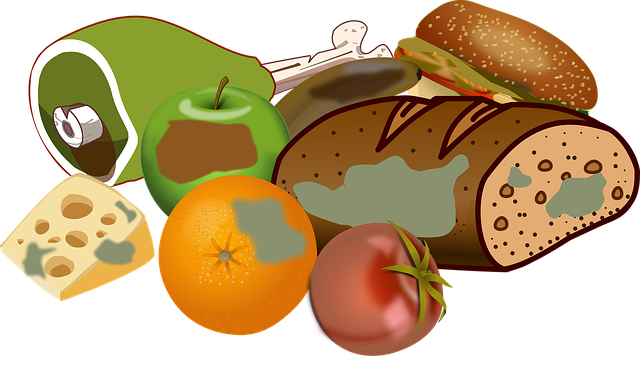 Jak vyčistit spáry mezi kachličkami v koupelně a mít krásné obklady 4 Dobrý způsob, jak zabránit vzniku plísní a plísňových skvrn