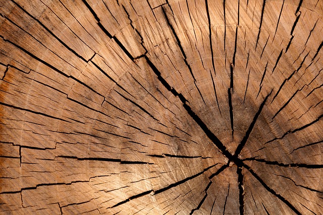 Důležité faktory při péči o dřevěné povrchy: Odolnost, údržba a estetika