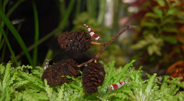 Proč je důležité kontrolovat kvalitu vody ve studně?