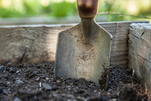 Jak uklidit zahradní nářadí a udržet nástroje v pořádku