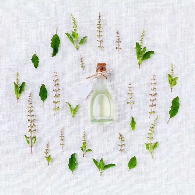 7. Použití bylinných a ovocných esenciálních olejů k aroma terapii ve vašem bytě