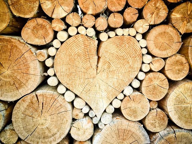 3. ⁢Ochrana a péče‍ o dřevo: zachování jeho přirozené krásy