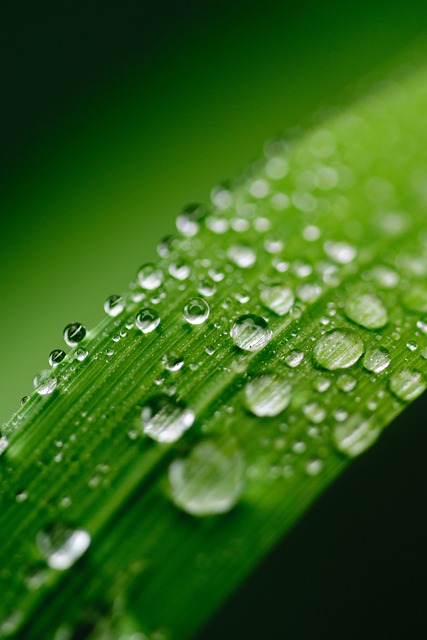- Výhody čisté dešťové vody pro zdraví, životní prostředí a úsporu vody