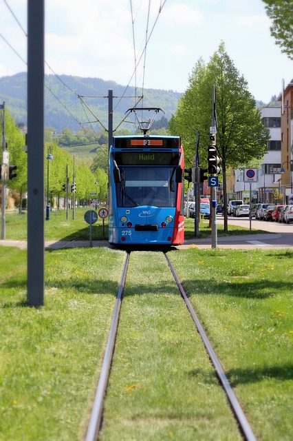 4. Příroda nabízí řešení: Ekologické prostředky dezinfikují zdraví šetrně